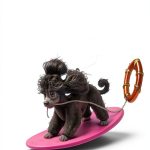 Rainbowdrop Poodles Adventure Childrens Water Sports Book-0