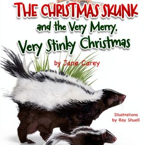 Miriam Laundry Publishing Childrens Christmas Book Baby-0