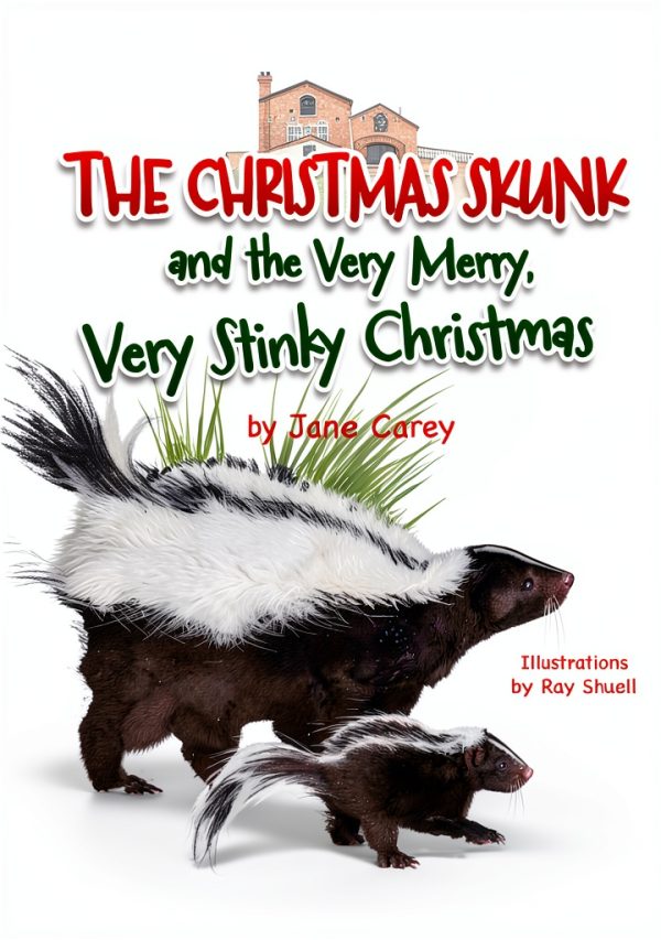 Miriam Laundry Publishing Childrens Christmas Book Baby-0