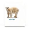 Wonder House Books My First Board Books Baby Animals Kindle-1