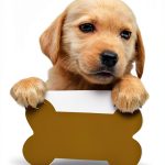 Odd Dot Childrens Pet Books Kindle Baby Animals Reading-0