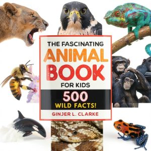 Callisto Kids Childrens Zoology Book Fascinating Facts-0